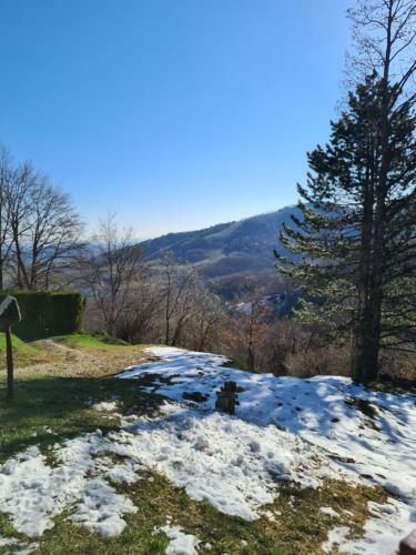 Zlatibor Vila Apartman