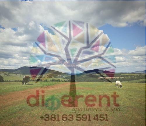 Different & Spa Apartment