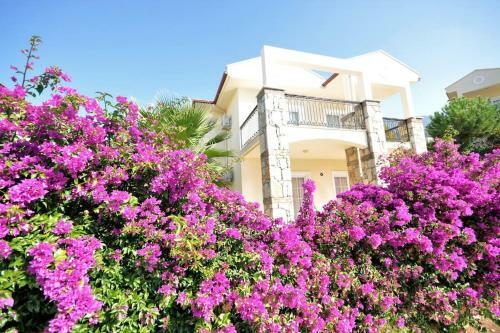 Emerald Villa In �l�deniz