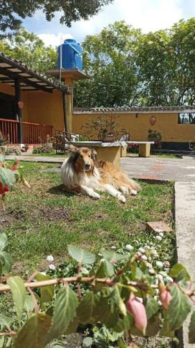 Apartamento El Origen
