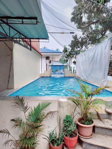 The Orchid Hotel