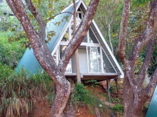 Hotel Tree Nature Resort
