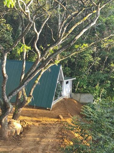 Hotel Tree Nature Resort