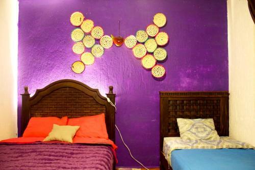 B&B Chile Mexicano