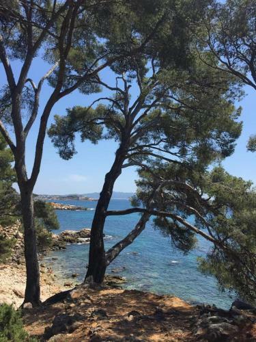 Apartamento Villa Cocody
