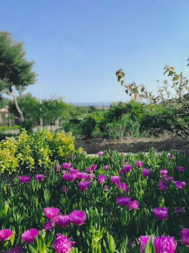 Apartamento Villa Cocody