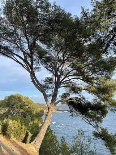 Apartamento Villa Cocody