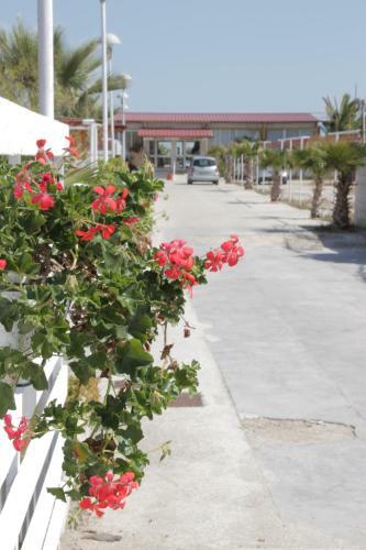 Hotel Paradiso Dei Giovani