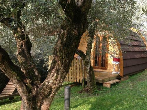 Bed & Breakfast Rosa Camuna