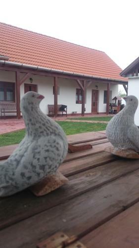 Hostal Szenkeparti Vend�gh�z