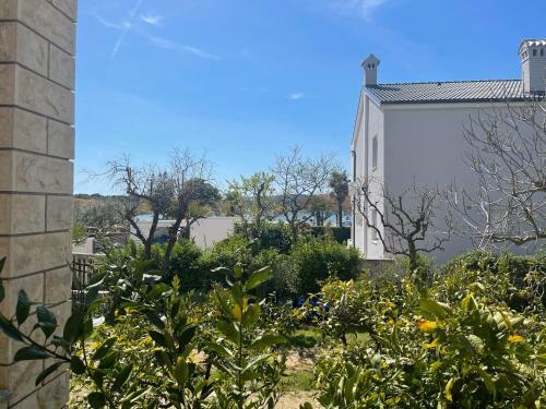 Apartments Demarin