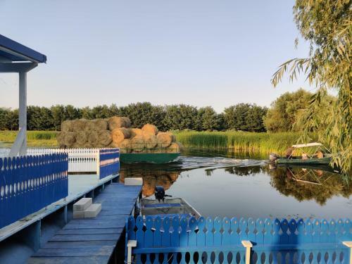 Villa Wild Carp