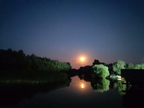 Villa Wild Carp