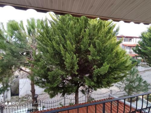 Villa Zeybek 3