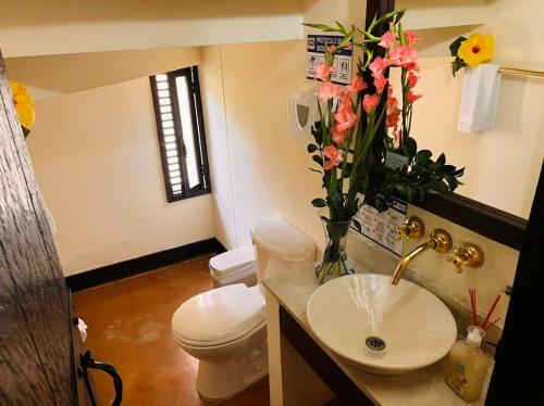 Villa Alegre - Fincas Panaca