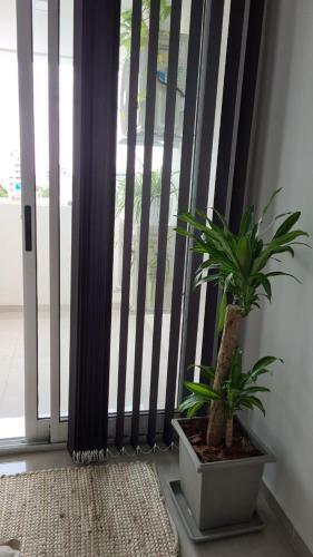 Apartamento Departamentos Davinci