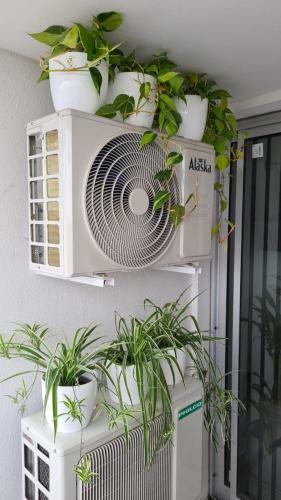 Apartamento Departamentos Davinci