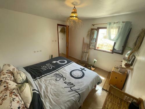 Albergue We Surf Morocco