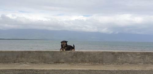 Nnyl Baler Beachfront