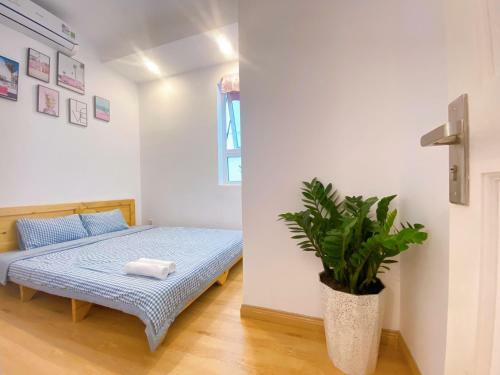 Apartamento S?n Homestay