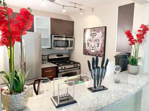 Hollywood Hills !!! One Bedroom Apartment !!!