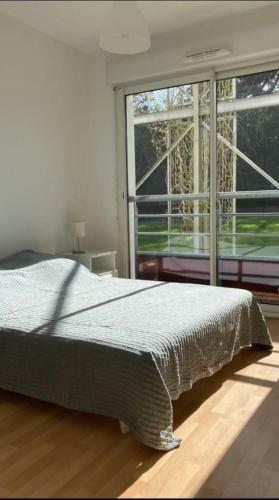 Apartamento T3 Avec Sa Terrasse Ensoleill�e