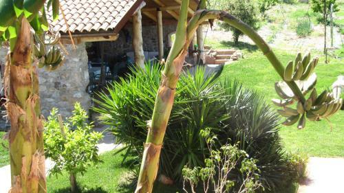B&B Macchia D'olmo