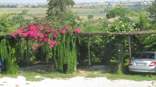 B&B Macchia D'olmo