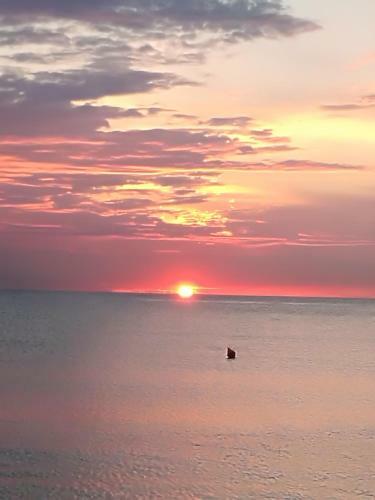 Apartament Orange Sunset Mamaia Nord