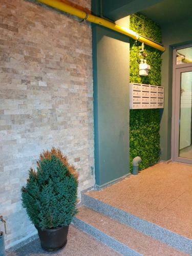 Exclusiv Sea View Apartment Navodari