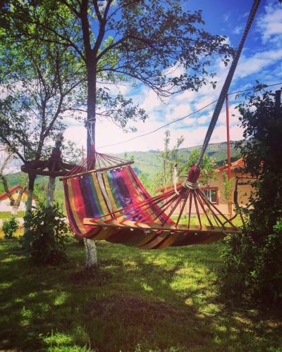Hostal Pensiunea Florina