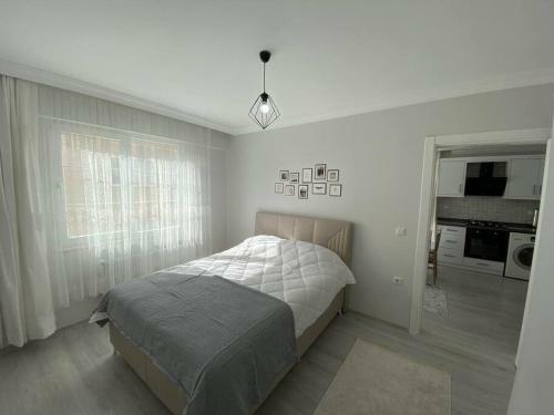 Apartamento Ceylanhouse-10