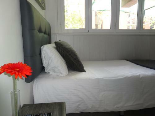 Hostal Lleida