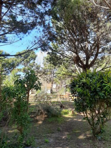 Apartamento Duendes Del Mar