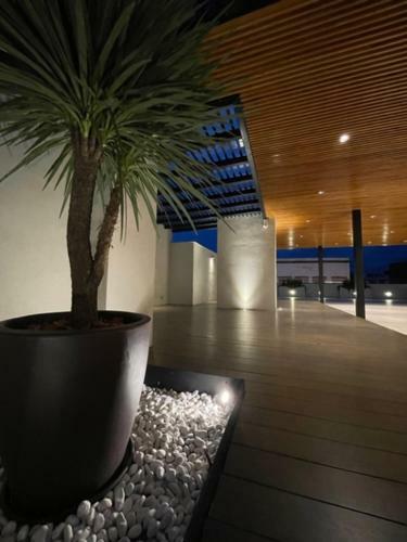 Apartamento Hidalgo 119 - Terraza Y Suites