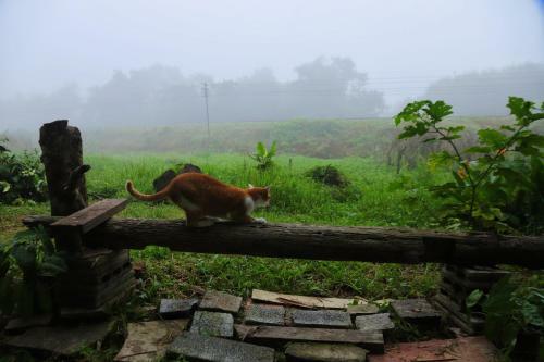 Bann Chi Homestay