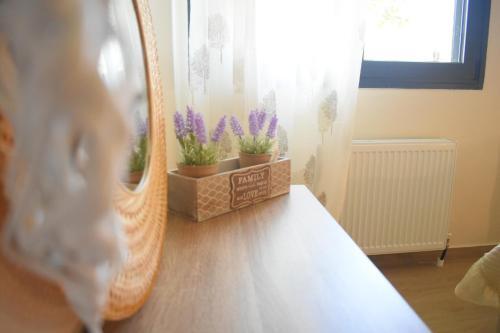 Apartamento Studio 1