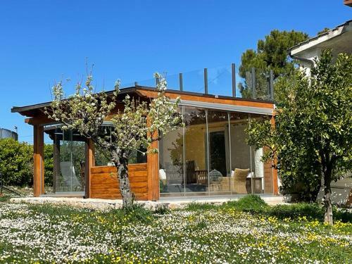 Frapippo B&B