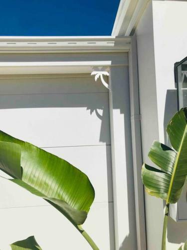 Avocet Beach House