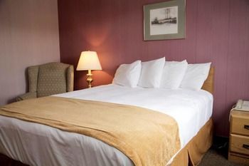 Hotel Sinbad'sand Suites- Standard