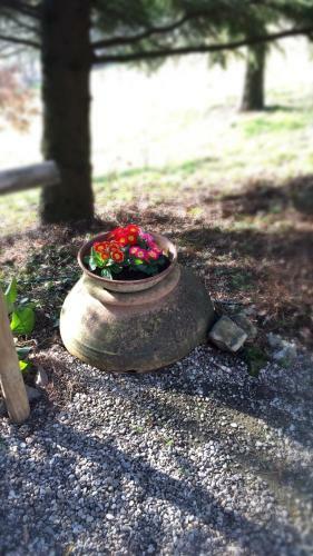 Country Hotel Ristorante Querce