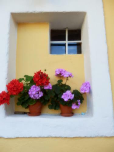 Hostal Penzion Vintage
