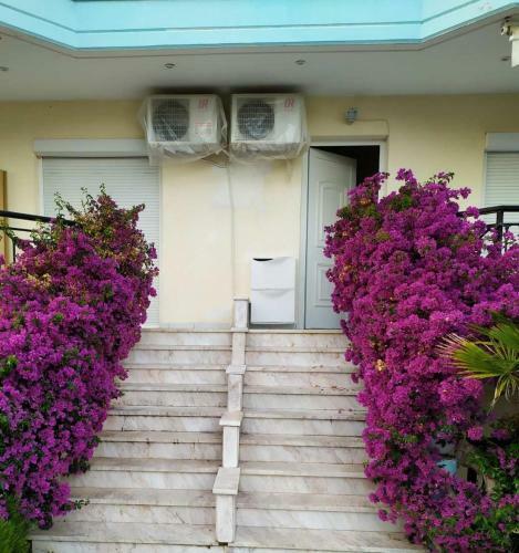 Marina Apartments & Studios