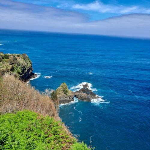 Chal� Seixal-sea View
