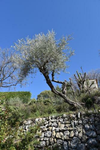 Bed & Breakfast Chambre D'h�tes Cottes