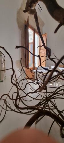 Bed & Breakfast Palazzo Donna Chicchi