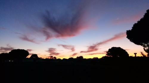N61