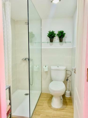 Apartamento Loft Plaza Espa�a
