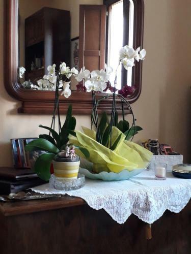 Bed&breakfast Pianeta Benessere