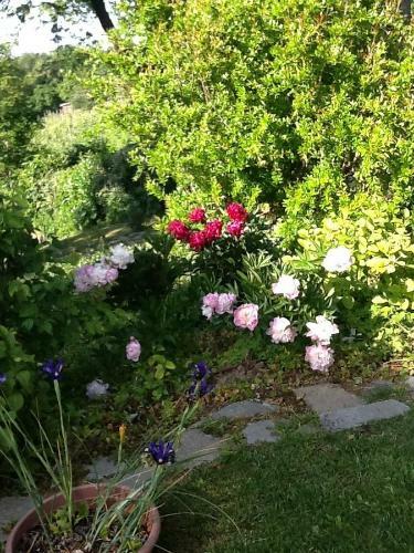B&B Nel Borgo Scipione